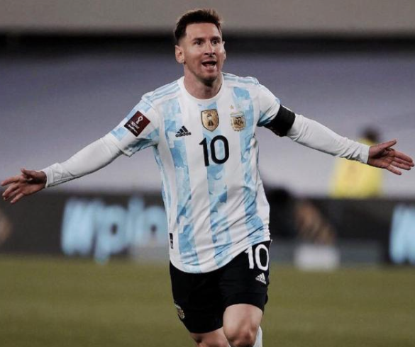 可能会在未 可能会在未