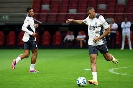 杨瀚森有望 杨瀚森有望